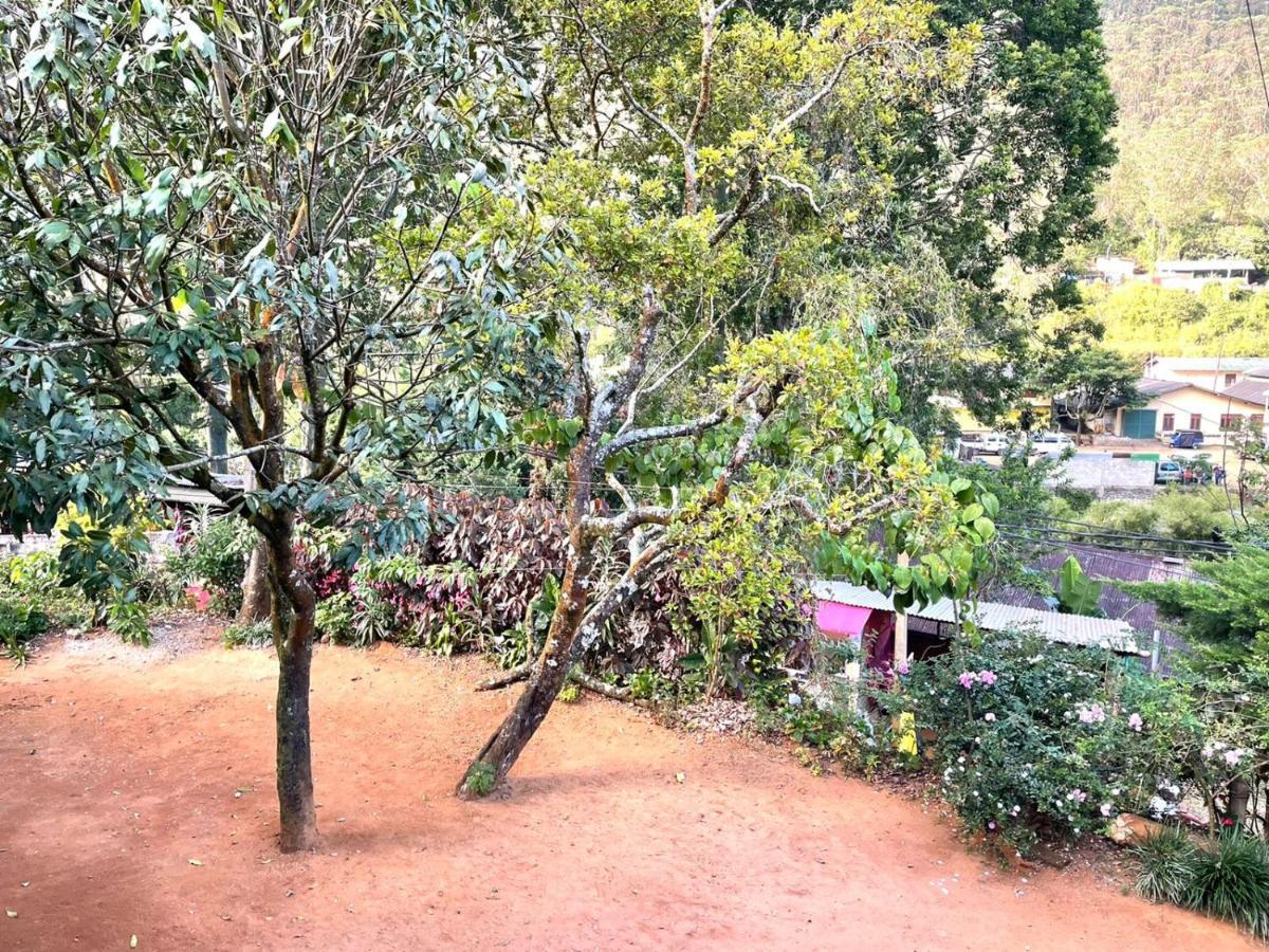 Hotel Mango Tree Nearest Adam'S Peak Nallathanniya Exterior foto