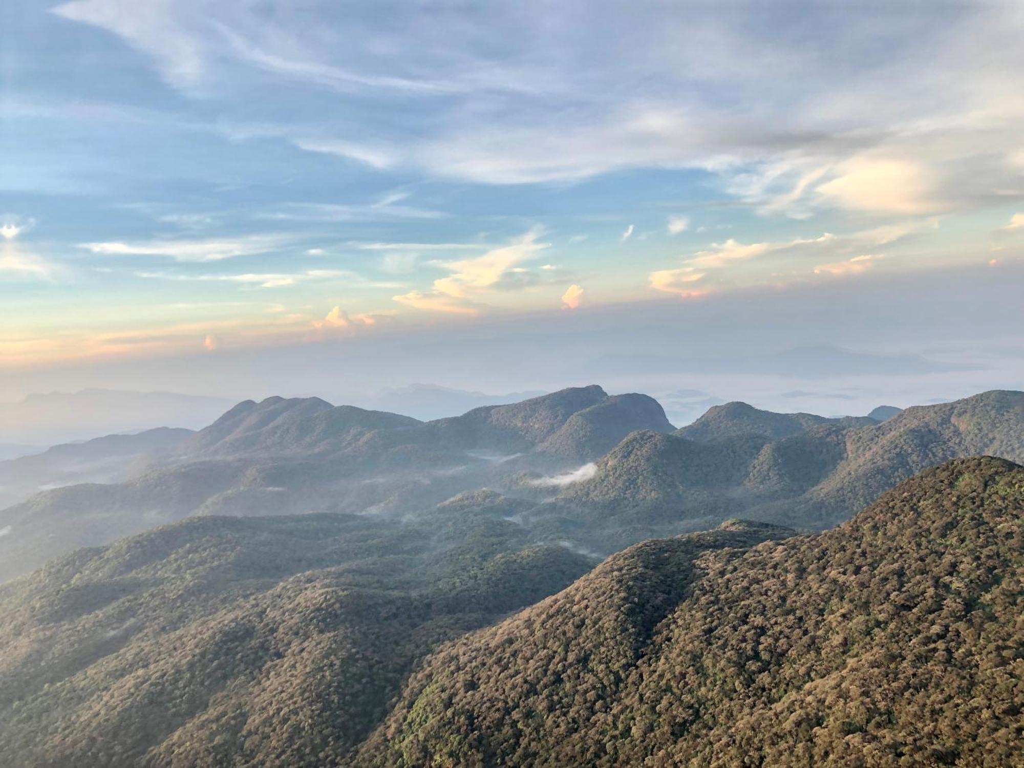 Hotel Mango Tree Nearest Adam'S Peak Nallathanniya Exterior foto