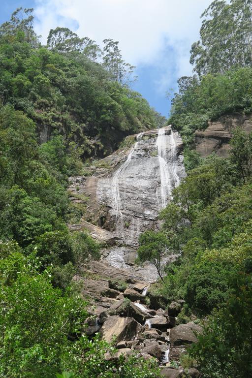Hotel Mango Tree Nearest Adam'S Peak Nallathanniya Exterior foto