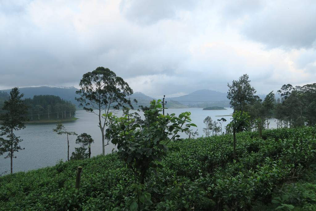 Hotel Mango Tree Nearest Adam'S Peak Nallathanniya Exterior foto