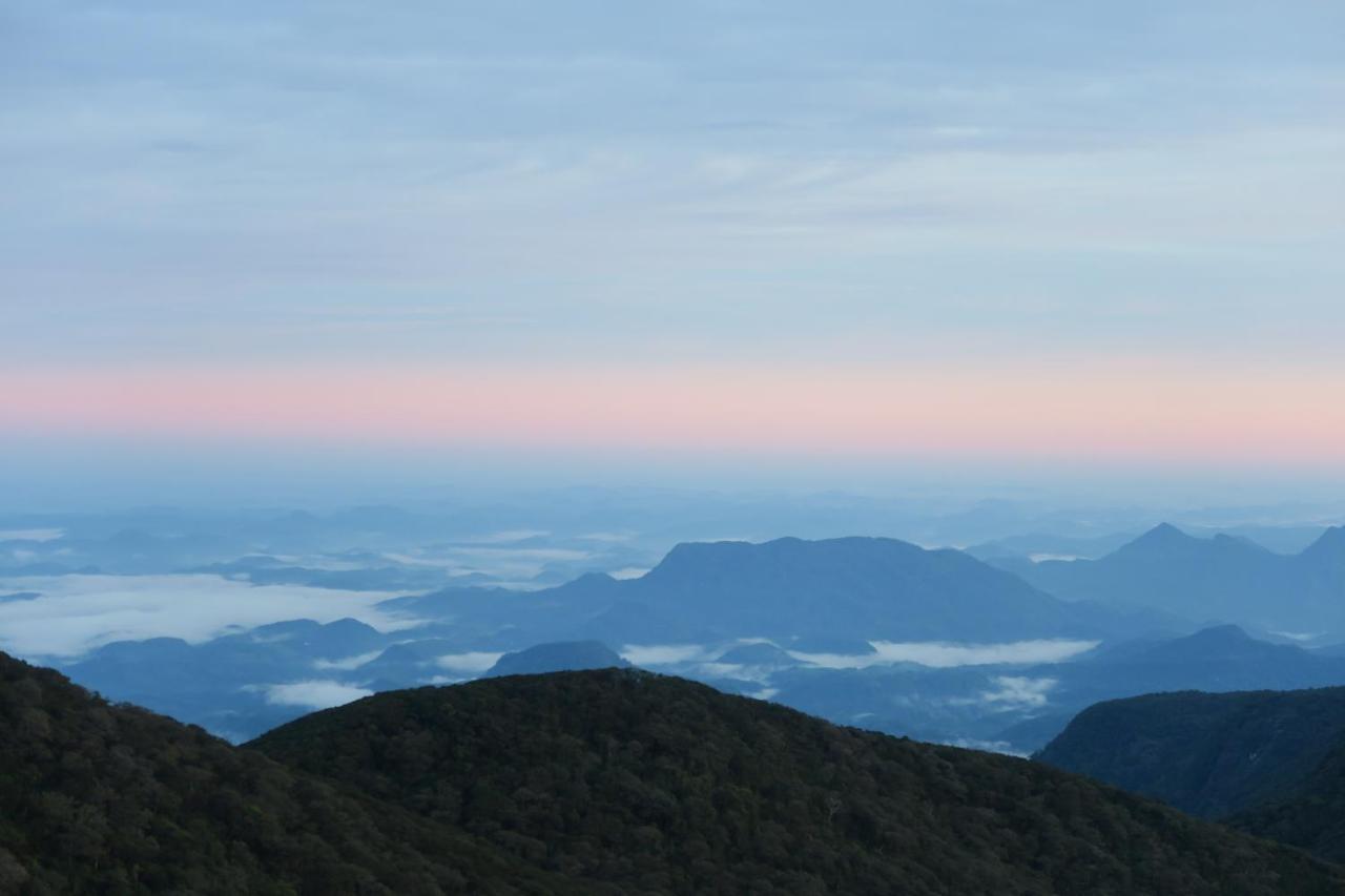 Hotel Mango Tree Nearest Adam'S Peak Nallathanniya Exterior foto